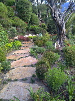 Becchetti Paysages - jardin saint jean cap ferrat